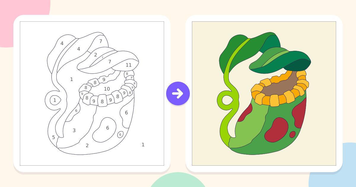 Pitcher Plant: the numbered outline and the finished picture